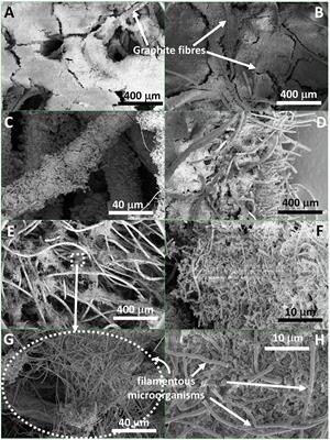 Critical Biofilm Growth throughout Unmodified Carbon Felts Allows Continuous Bioelectrochemical Chain Elongation from CO2 up to Caproate at High Current Density